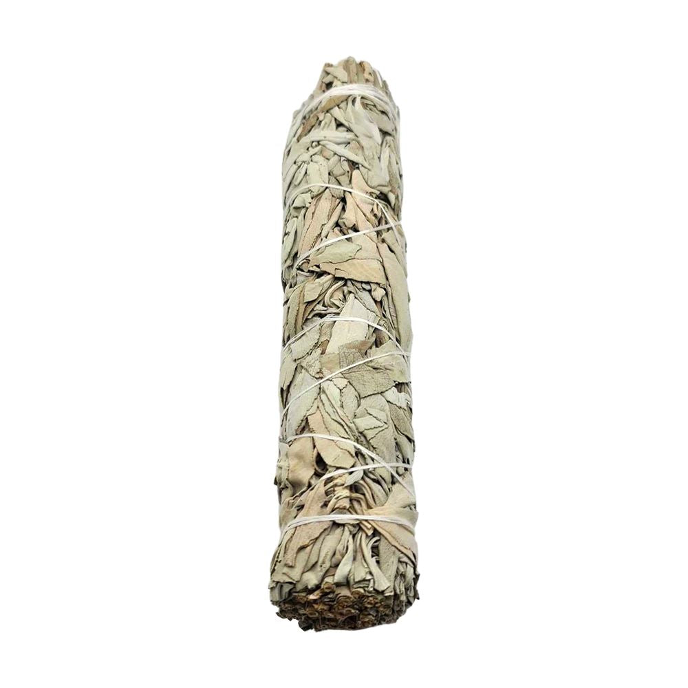 Smudge Stick, White Sage 6"
