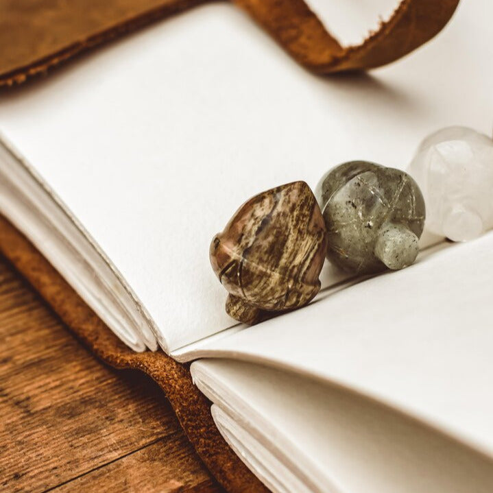 Small Gemstone Acorns – Growth & New Beginnings