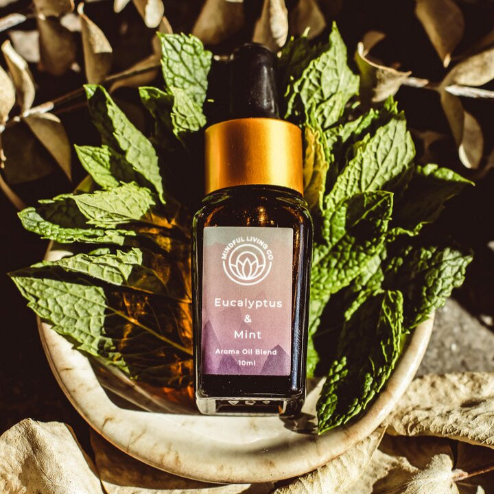 Eucalyptus & Mint Fragrance Oil